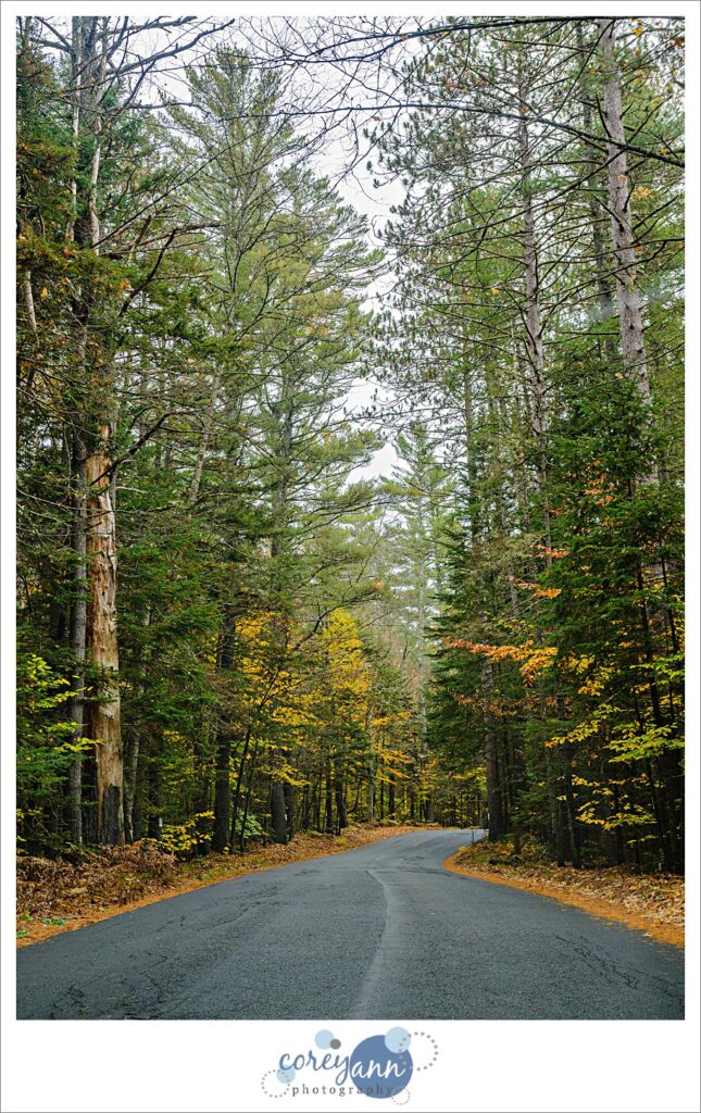 New Hampshire in October