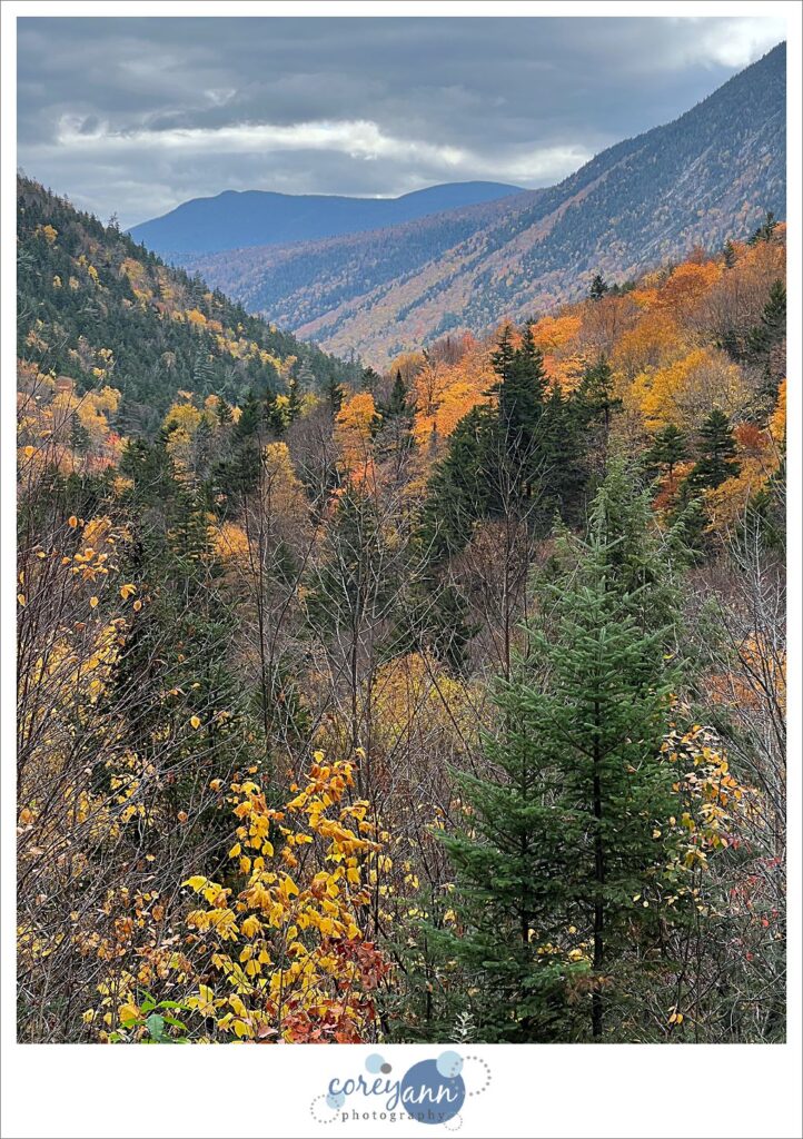 Crawford Notch in NH