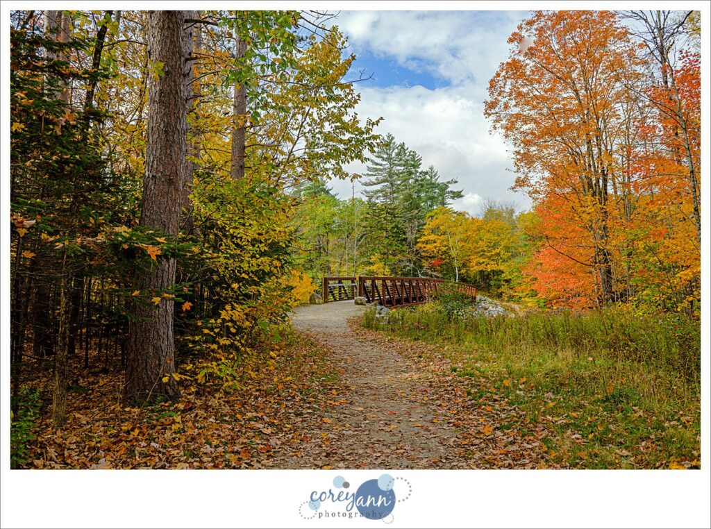 Hastings Trailhead in Maine