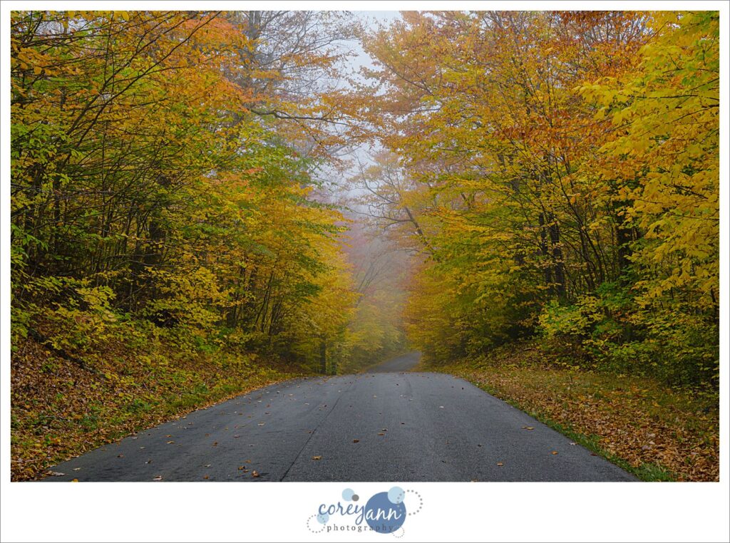 Fog on the way to Evans Notch