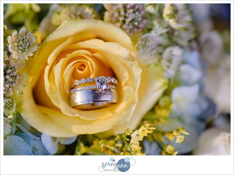 Wedding rings on yellow rose