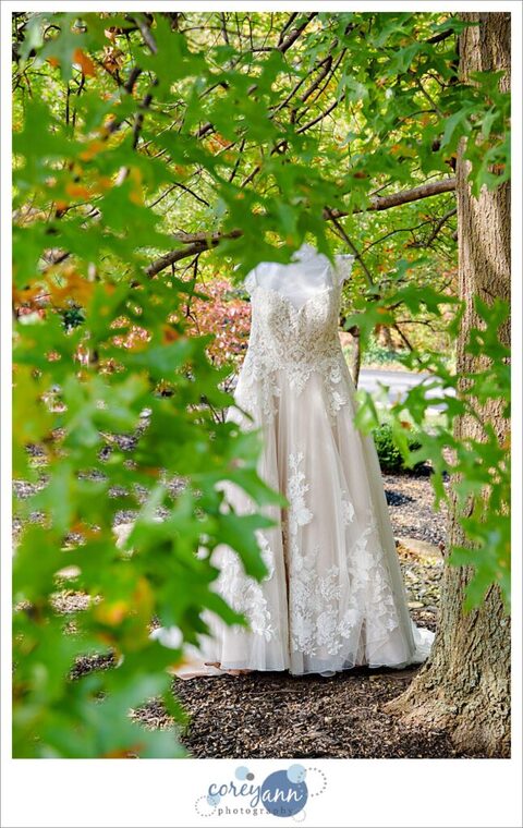 bride's wedding dress hanging in a tree