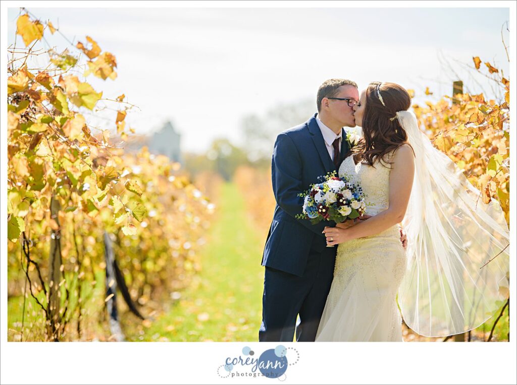 October wedding at Gervasi Vineyard in Canton Ohio