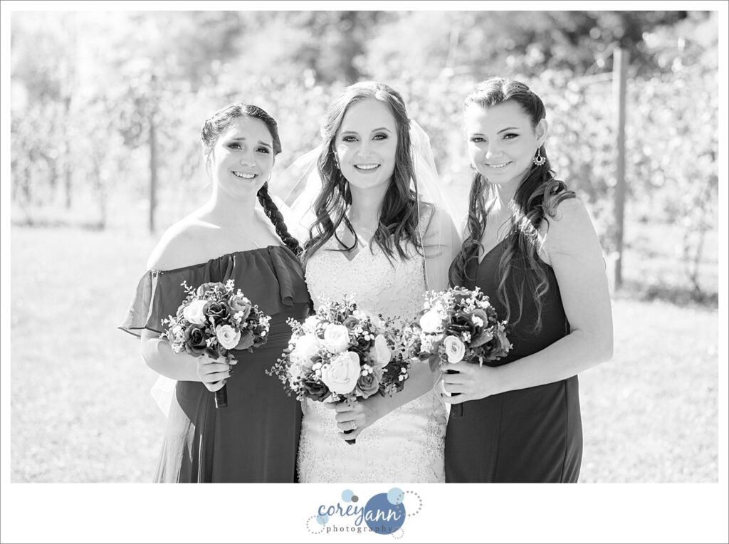 October Gervasi Vineyard wedding in Canton Ohio