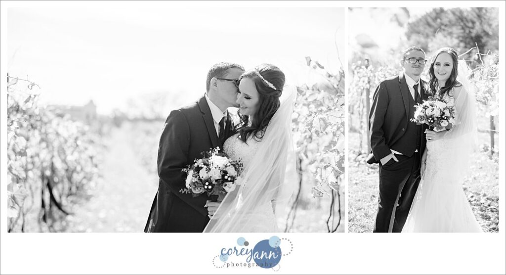 October Gervasi Vineyard wedding in Canton Ohio