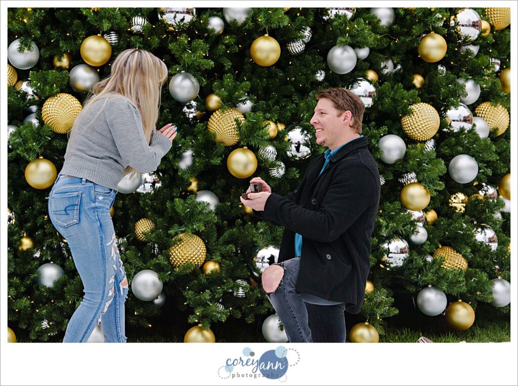 Proposal at Legacy Village at Christmas
