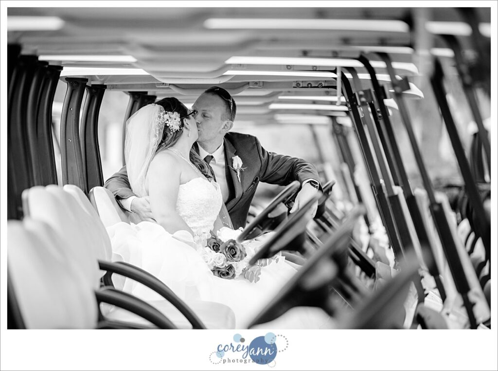 Wedding portraits at Springvale ballroom