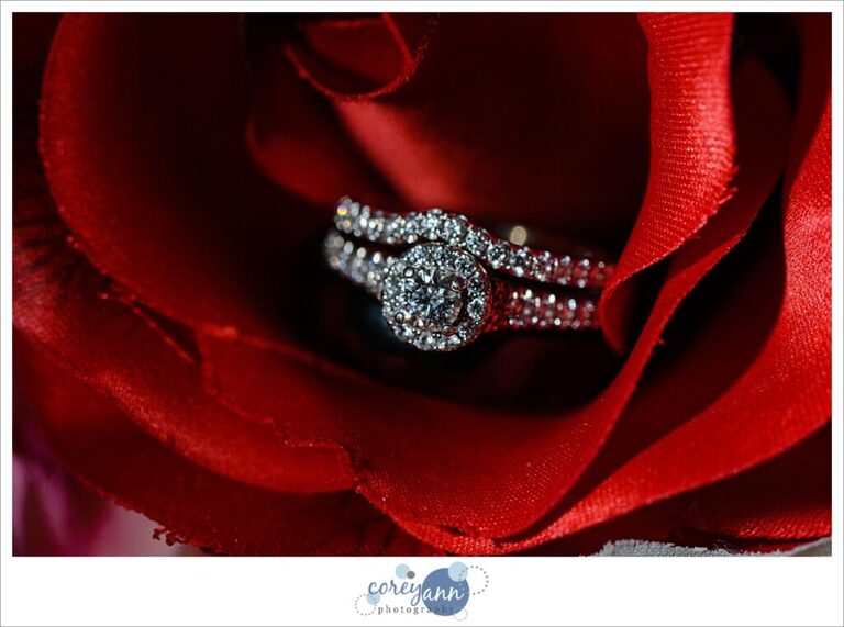 Wedding rings on red rose in Cleveland