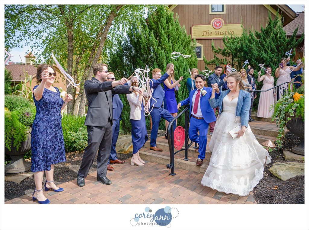 Ribbon wand exit from Gervasi Vineyard Wedding