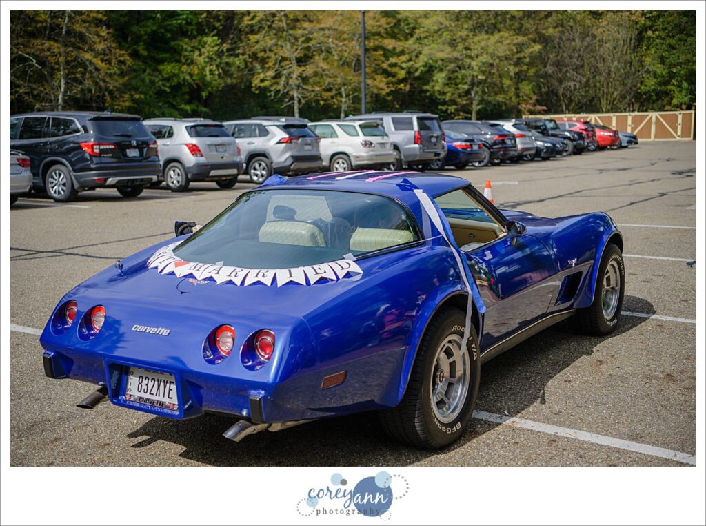 Ribbon wand exit from Gervasi Vineyard Wedding