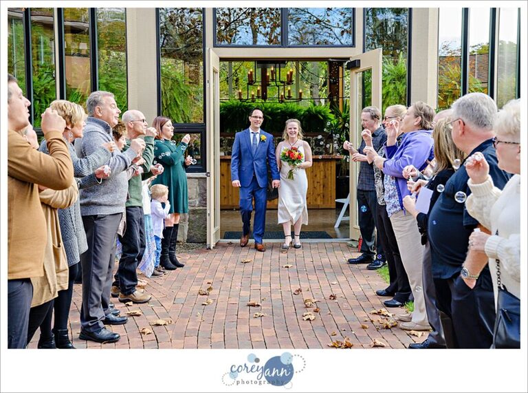 Wedding guests blowing bubbles at bride and groom at Gervasi Vineyard in Ohio.