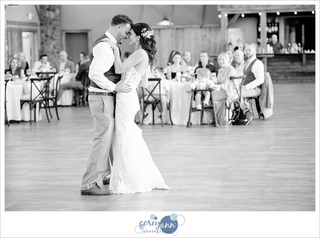 Wedding reception at Pine View Acres in Massillon Ohio