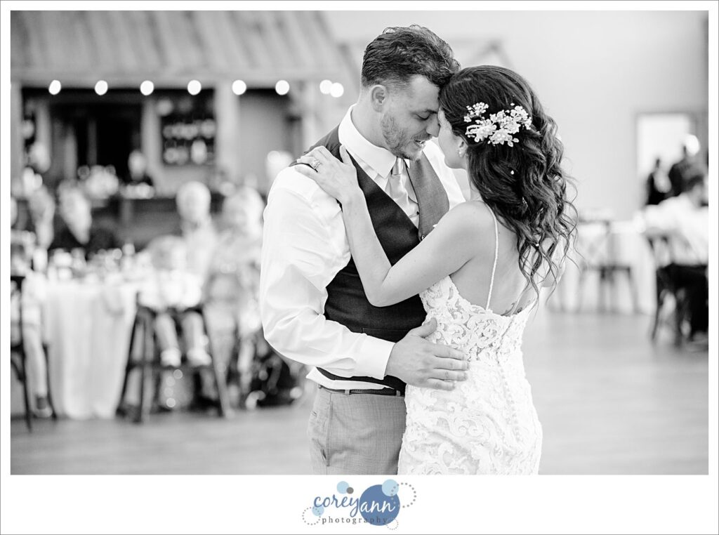 Wedding reception at Pine View Acres in Massillon Ohio