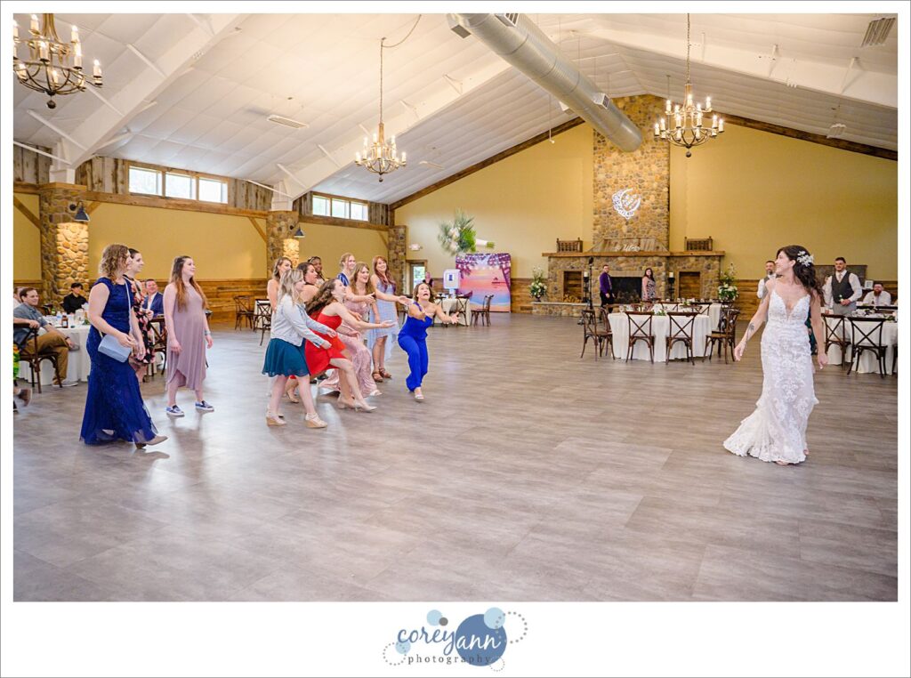 Wedding reception at Pine View Acres in Massillon Ohio