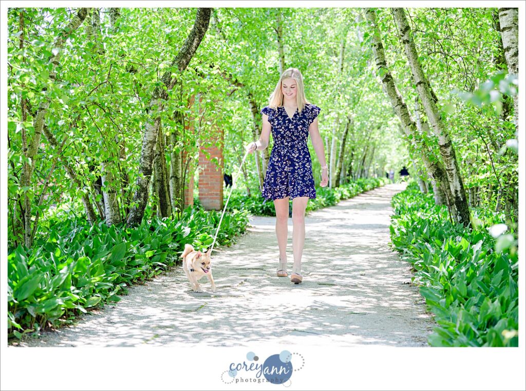 Dog flower girl walking down the birch tree allee aisle to wedding ceremony at Stan Hywet