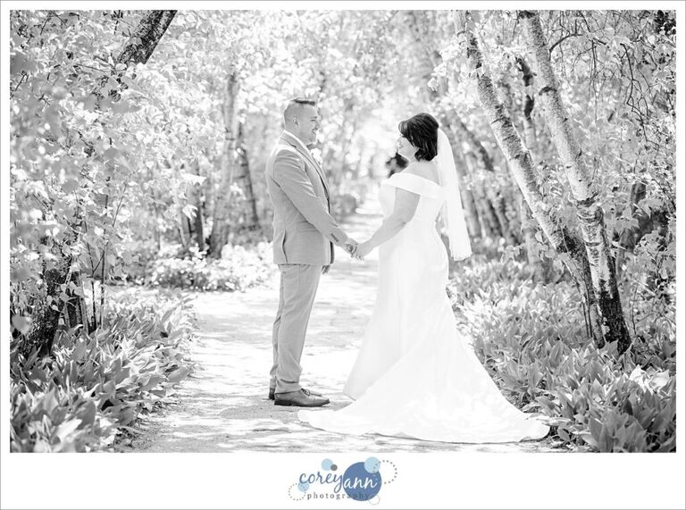 wedding portrait of bride and groom in the birch tree allee at Stan hywet