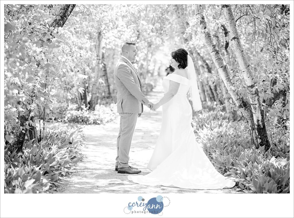 wedding portrait of bride and groom in the birch tree allee at Stan hywet
