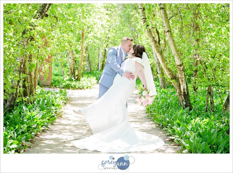 wedding portrait of bride and groom in the birch tree allee at Stan hywet