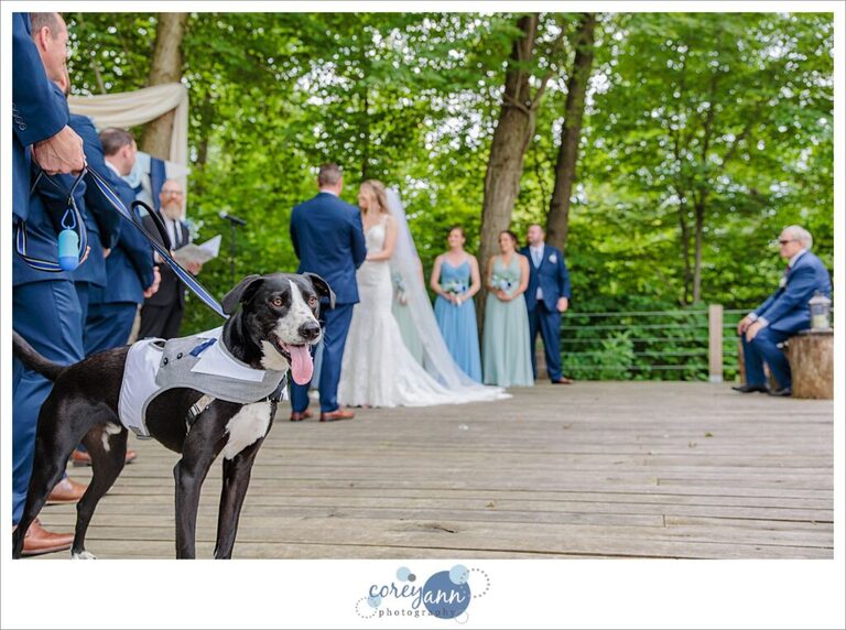 June wedding at Bella Amore on Enchanted Acres in Dennison Ohio