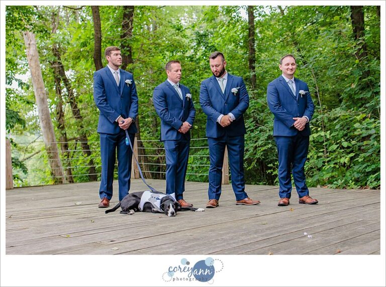 June wedding at Bella Amore on Enchanted Acres in Dennison Ohio