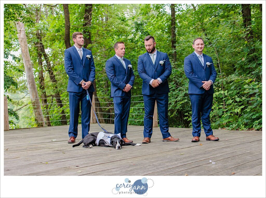 June wedding at Bella Amore on Enchanted Acres in Dennison Ohio