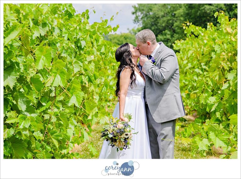 Bride and Groom after wedding at Gervasi Vineyard in July in Canton Ohio
