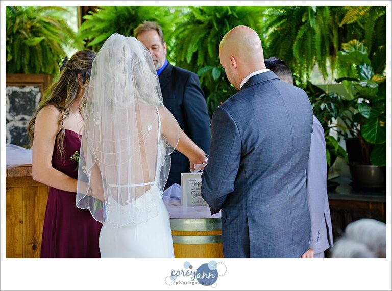 Wedding ceremony in Canton Ohio at Gervasi Vineyard for an intimate wedding