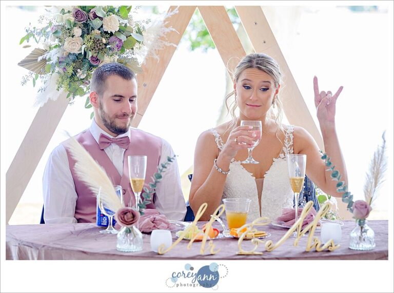 Wedding reception at Tudor House on Portage Lakes in Akron Ohio