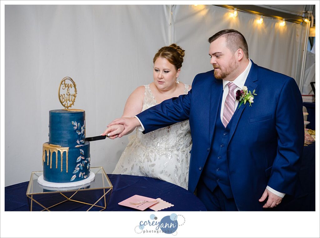 Bride and groom cutting navy wedding cake during reception at Tudor House on Portage Lakes by Corey Ann Photography