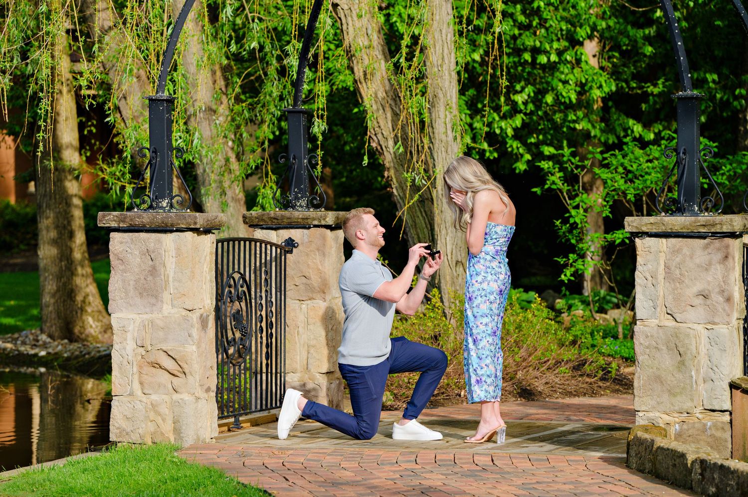 Gervasi Vineyard Proposal in May 