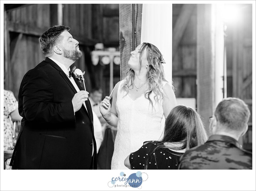 Wedding Reception at Haymaker's Mill 1875 in North Canton Ohio
